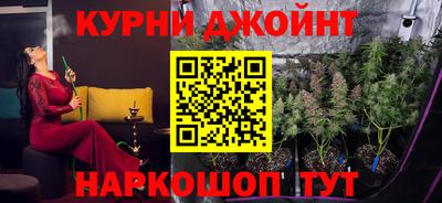 индика Кинель