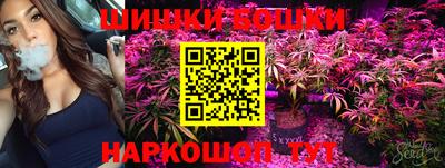 индика Кинель
