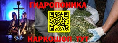 а пвп мука Кингисепп