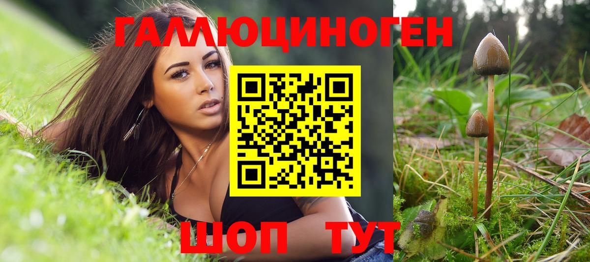 Псилоцибиновые грибы мицелий  Галлюциногенные грибы прущие грибы  продажа наркотиков  Вход с VPN  Сунжа 